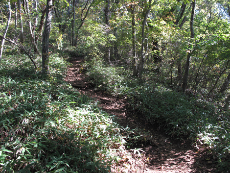 20161104hike (71)